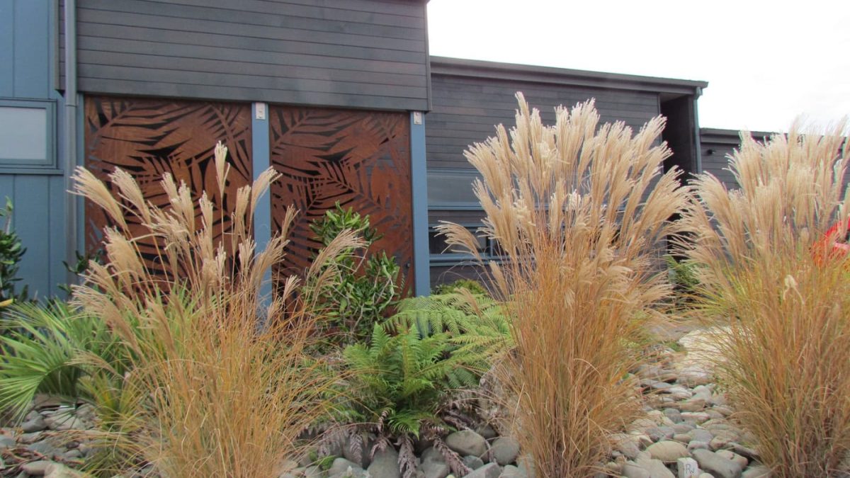 PKDesign_AranuiRd_Mapua_IMG_3618